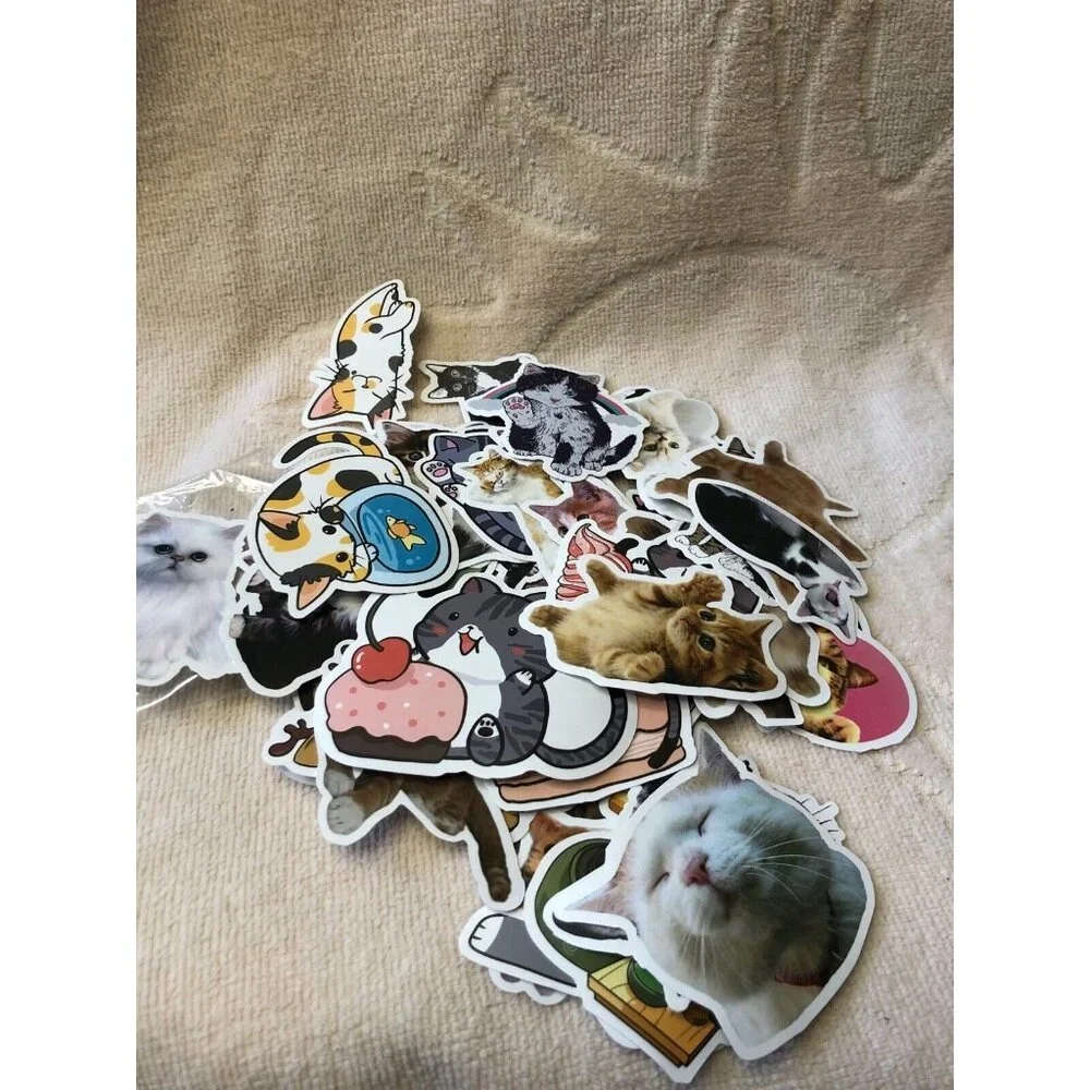Mixed Lot Activity Roll Colored Pencils Fidget Toy and 50 Cat Kitten Stickers